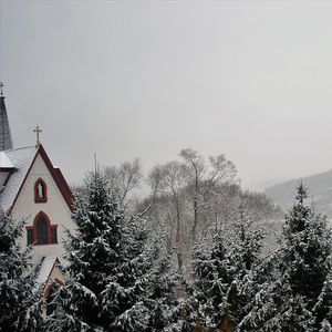 Meet your Posher, Jan michael